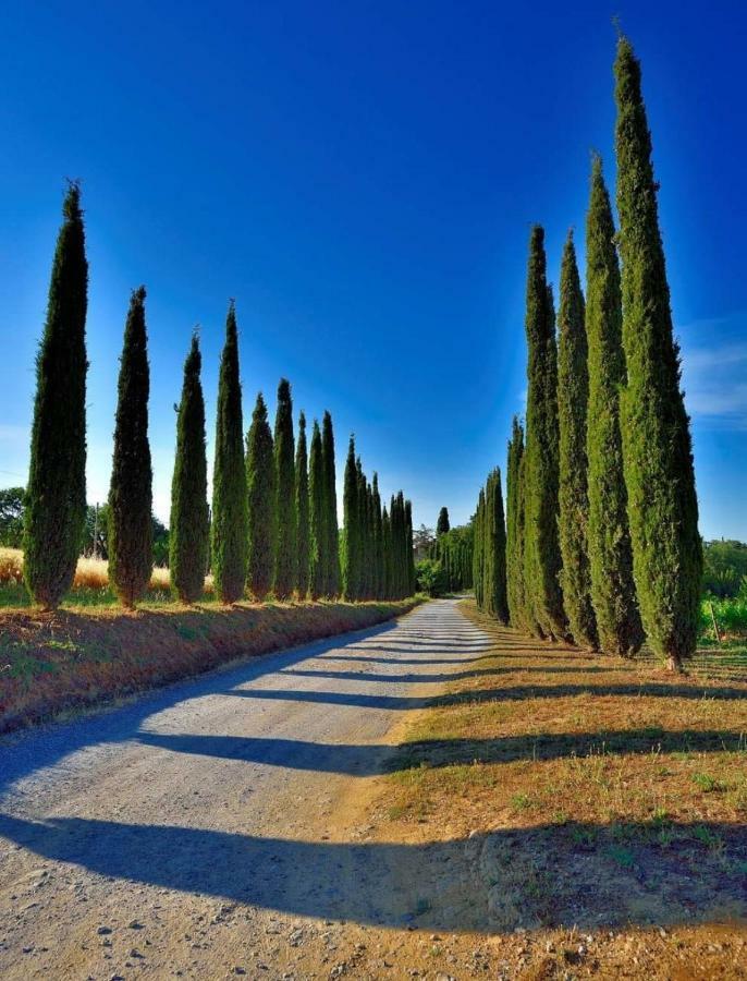 Agriturismo Boschetto Di Montiano Montiano  Exterior photo